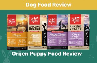 Orijen Puppy Food Review 2022: Pros, Cons, Recalls and FAQ