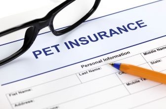 10 Best Pet Insurance Plans in Idaho in 2022: Reviews & Top Picks
