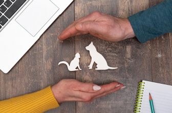 10 Best Pet Insurance Plans in Mississippi in 2022 – Reviews & Top Picks