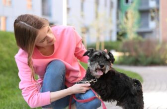 10 Best Dog Treats for Miniature Schnauzers: 2023 Reviews & Top Picks