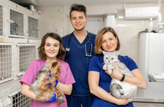 How to Become a Veterinary Nurse – 8 Steps To Your Dream Career