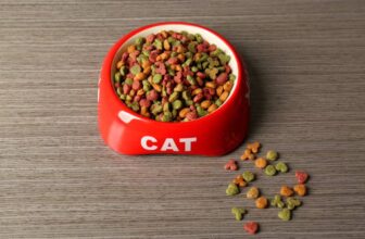 Can Guinea Pigs Eat Cat Food? Vet Approved Facts & Advice