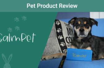 iCalmPet Ruff N’ Ready Speaker Review 2023: Our Expert’s Opinion