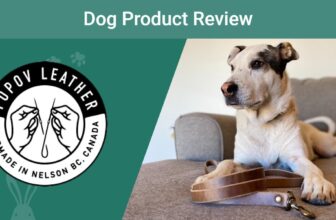 Popov Leather Leash and Dog Collar Review 2023: Our Expert’s Opinion