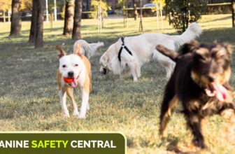 A Guide for Pet Parents